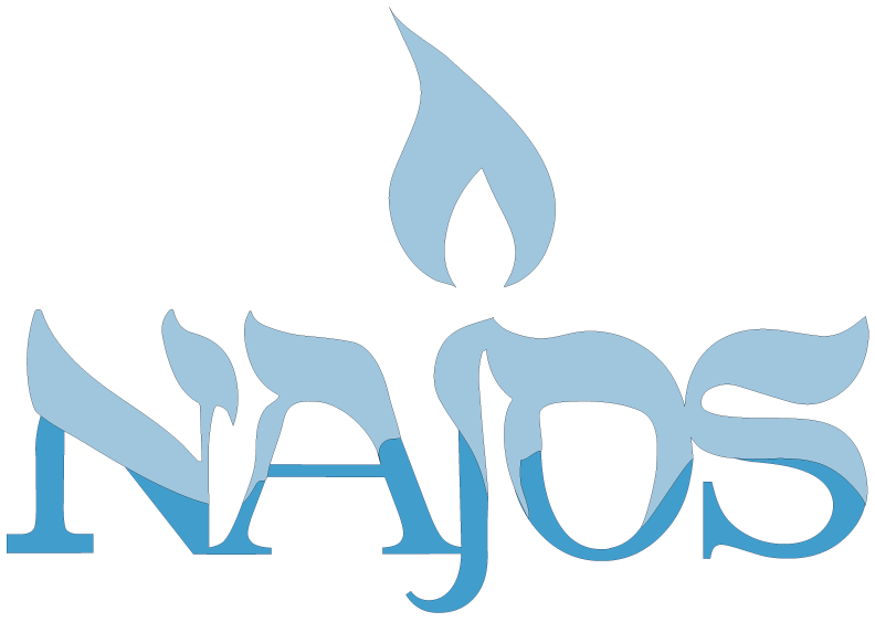 This is one of SCBM services clients, called Najos - Education of pupils at Orthodox Jewish schools